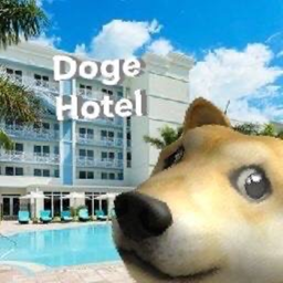 Doge Hotel [Original]