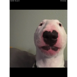 Walter hangout