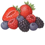 The Sweetest Berries