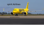 Spirit Airlines'TM