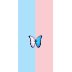 Butterfly.girlzz