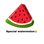 Watermel Group