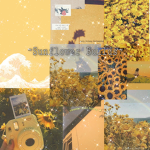 ~Sunflower Builds~
