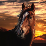 Horizon Equestrian
