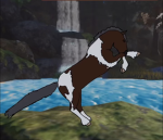 My Equines