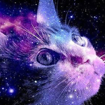 Cosmic Cat Studioz