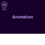 The Animation Community
