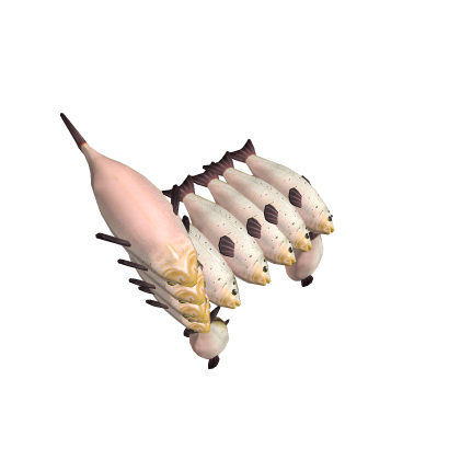 fish chair