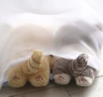 ,07 Group Thumbnail