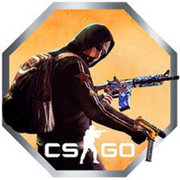 CS:GO (Old Version)