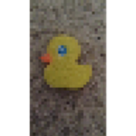 #teh awsome duck squad