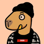Bob clothes Store
