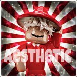 The Aesthetic Clothings Shop