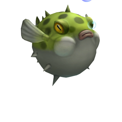 Puffy Puffer Fish