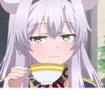 Rokudenashi Majutso Koushi To Akashic Records