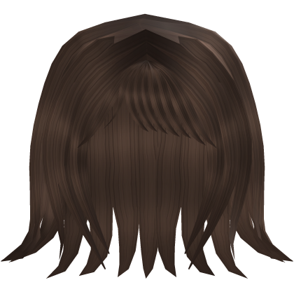Soft Long Brown Hair with Wispy Bangs