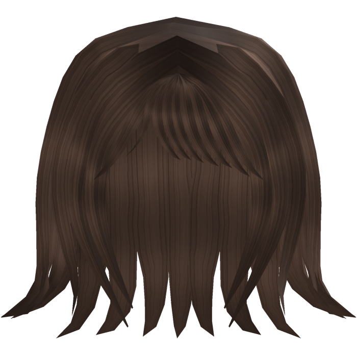 Soft Long Brown Hair with Wispy Bangs