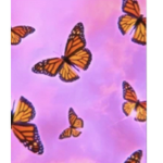 Buterfly’s squad