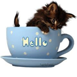 Grupa Julki Czyli Kociary