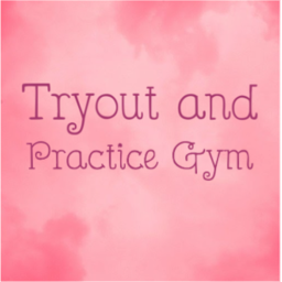 Vsco Girl Gymnastics • Tryout & Practice Gym V3