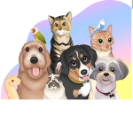 Pet store group