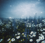 Floral Haven