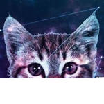 galaxy of cats dev.