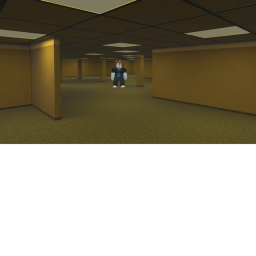 the Backrooms