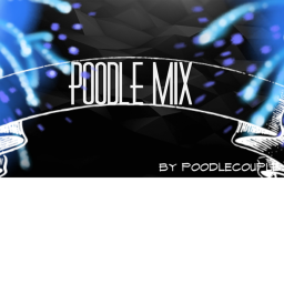 Poodle Mix Application Center