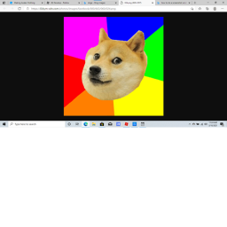 DogeCoinSimulator