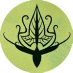 III Elves of Mirkwood III