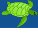 Yellow Turtle Clothing