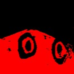 Wounded Time