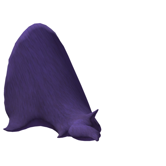 👻 Hisuian Ghost Flame Badger's Rear Fur (PBR)