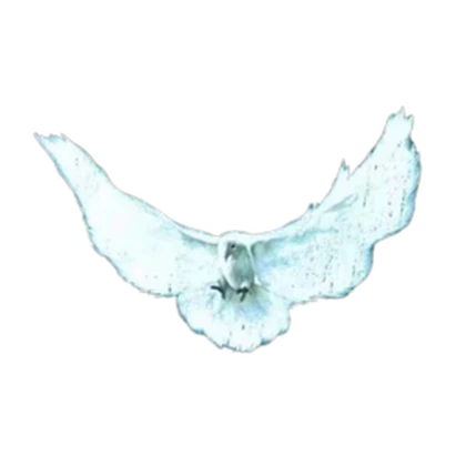 wcks Roblox group icon