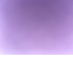 Pet Sim X is so cool lol