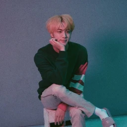 seokjin icon