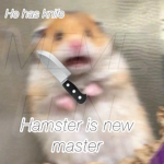 MEME FUN.