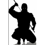 Ninja Bros INC giveaways