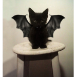 kitty’s klub