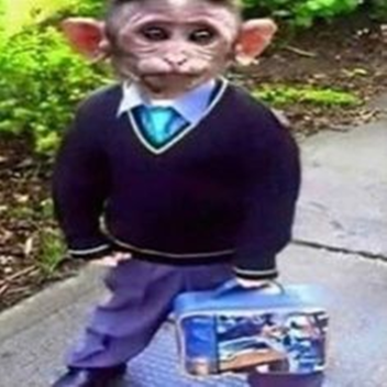 Do what you want in this world.