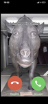 john moo