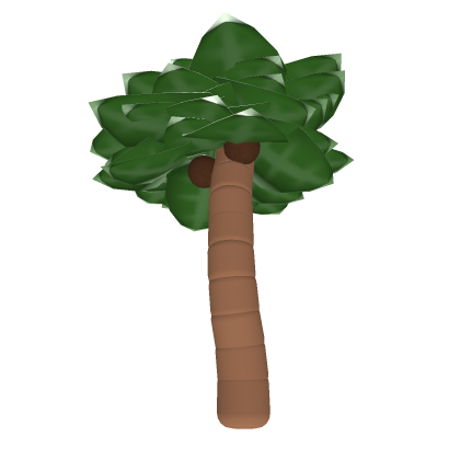 Palm