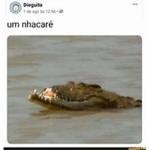 um nhacaré