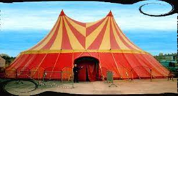 Holly's Circus