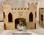 Medieval hamsters