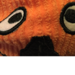 The pumpkin