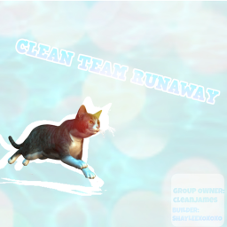 Clean Team Runway
