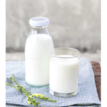 JoinTheEpicGroupNow's Baseplate Milk Place