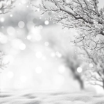 Winter fest